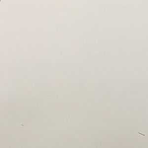 Meet your Posher, Daisy